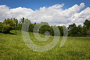 Gently rolling green meadow with treeline behind, clouds and blue sky beyond