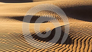 These patterns create a mesmerizing texture across the landscape