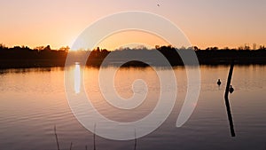 Gentofte lake during sunset with ducks moving on the water, Scandinavian sunset