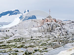 Gentoo penguins and commemoration cross for British Antarctic Survey, Petermann Island, Antarctic Peninsula, Antarctica