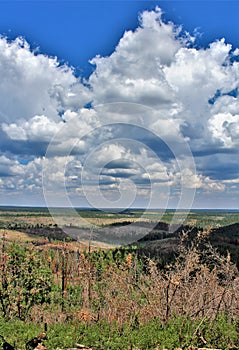 Gentry Outlook, Apache Sitgreaves National Forest, Arizona, United States