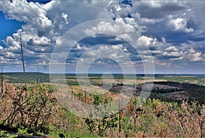 Gentry Outlook, Apache Sitgreaves National Forest, Arizona, United States