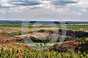 Gentry Outlook, Apache Sitgreaves National Forest, Arizona, United States