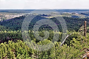 Gentry Outlook, Apache Sitgreaves National Forest, Arizona, United States