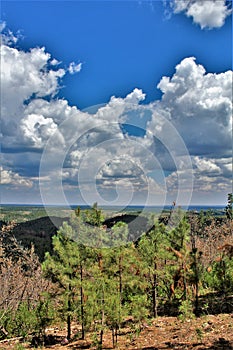 Gentry Outlook, Apache Sitgreaves National Forest, Arizona, United States photo