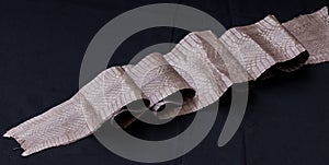 Genuine cobra snakeskin leather, snake skin, texture, animal, reptile on a black background.