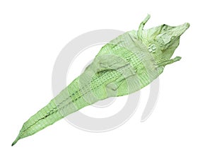 Genuine colored crocodile leather isolated on white background. Crocodile skin texture. Background of crocodile reptile leather