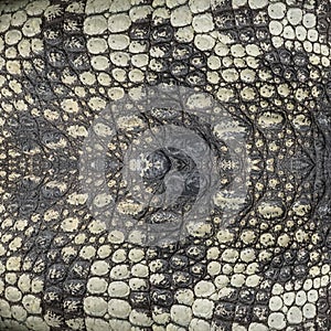 Genuine crocodile leather background image For making leather