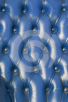 Genuine leather texture