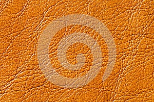 Genuine leather texture