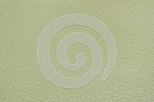 Genuine leather texture, light green color. Modern background, backdrop, substrate, composition with copy space