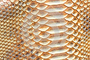 Genuine python snakeskin leather, snake skin, texture background.
