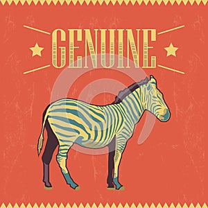 Genuine Zebra vector label - card