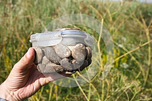 Geocache Container in man hand