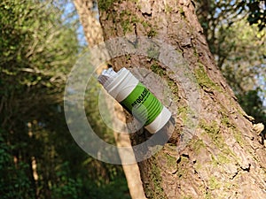 A geocache cylindrical container hanging on a broken branch from a tree trunk while hiking a forest