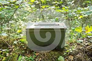 geocaching container in the woods