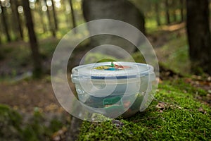 geocaching container in the woods