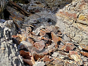 Geodesy. Stone texture. The rock is brown and red. Mineral background. Design from natural materials.