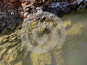 Geodesy. Stone texture. The rock is brown and red. Mineral background. Design from natural materials.