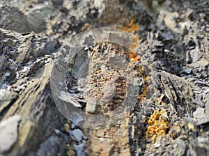 Geodesy. Stone texture. The rock is brown and red. Mineral background. Design from natural materials.