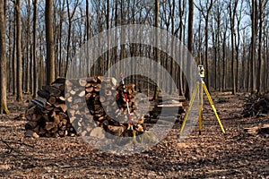 Geodesy, theodolite on a tripod in forest