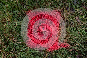 Geodetic survey mark, ground marker.