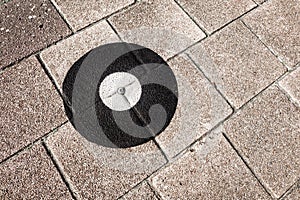 Geodetic survey marker set in a pavement.