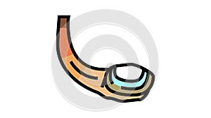 geoduck pacific clam color icon animation