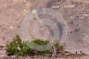 Geoglyphs Pintados Cerros, near the town of Pica, in the commune of Pozo Almonte, Chile photo