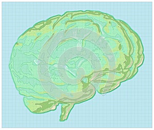 Geographic map of the brain, reworking of the human brain in the form of a map. Concept. Mind