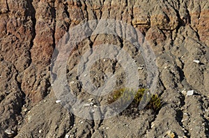 Geologic details from an ocean cliff in Praia da Luz, Lagos, Algarve.