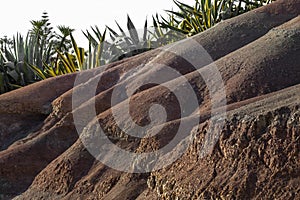 Geologic details from an ocean cliff in Praia da Luz, Lagos, Algarve.