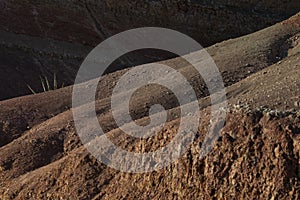 Geologic details from an ocean cliff in Praia da Luz, Lagos, Algarve.