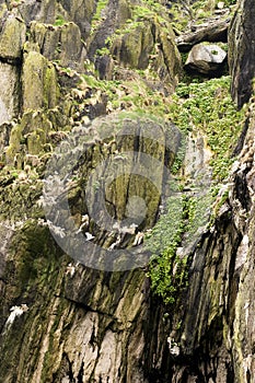 Geologic formation in Skellig Michael