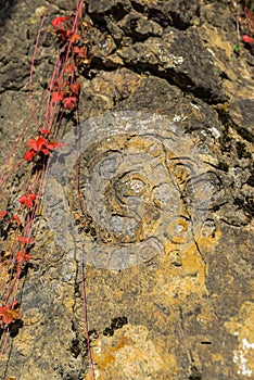 Geologic Rocks texture with snail shell