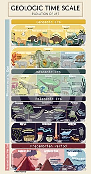 Geologic time scale- Evolution of life photo
