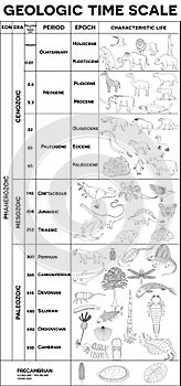 Geologic time scale photo