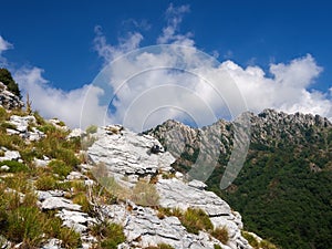 Geological contrasts in the Apuan Alps, Alpi Apuane, near the Vestito Mountain Pass. Massa Carrara, Italy, Europe photo