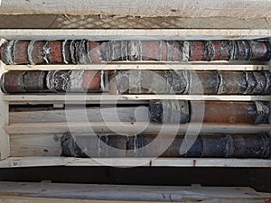 Geological core samples in core boxes ready for analysis