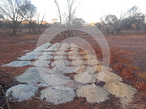 Geological drill hole samples in australian outback for mining