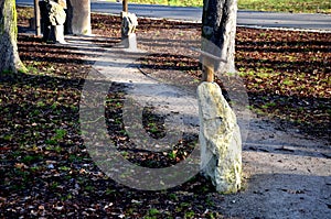 The geological exposition in the city park is for the education of students walking along the path and reading about the geologica photo