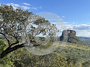 Geological formation in middle valley, cerrado trees and bushes. photo