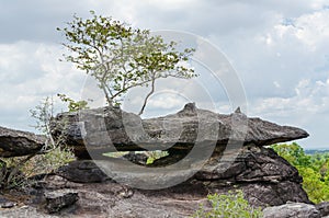 Geological formation of stone mountain