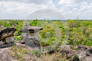 Geological formation of stone mountain