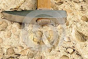 Geological hammer photo