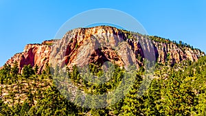 Geological Sandstone formation along the Kolob Terrace Road in Zion National Park