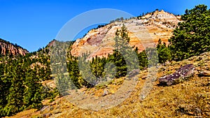 Geological Sandstone formation along the Kolob Terrace Road in Zion National Park