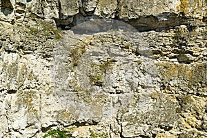 Geological section of deposits of shell rock