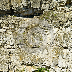 Geological section of deposits of shell rock