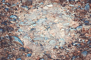 Geological sediment layers in the rock at Wharariki Beach.